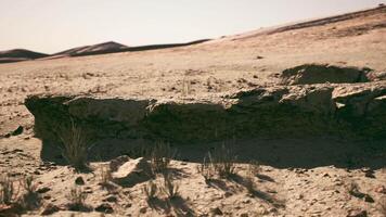 CGI Receding landscape of Mongolia showcasing dry earth and distant hills video