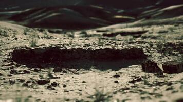 CGI Desolate landscape of Mongolia with rocky terrain and sparse vegetation video