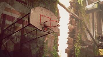 CGI An old basketball hoop surrounded by overgrown vines in an abandoned setting video