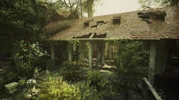 CGI Exploring the ruins of an abandoned European mansion surrounded by nature video