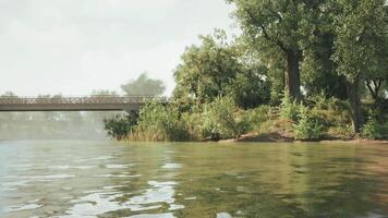 CGI Serene riverbank view with lush greenery and a rustic bridge on a calm day video
