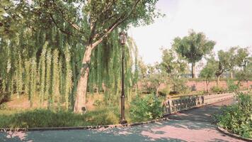 CGI A serene park scene with willow trees and a walkway under gentle sunlight video