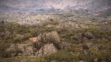 CGI Rocky terrain with scattered shrubs under a clear sky in a natural landscape video