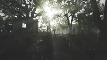 CGI Sunlight filters through trees over a tranquil cemetery at dusk video