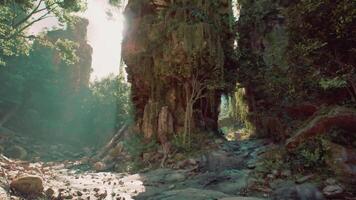 CGI Serene landscape of Thailand showcasing lush greenery and flowing water video