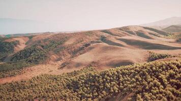 CGI Desert landscape with low bushes nestled between majestic mountains video