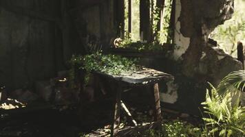 CGI Overgrown table among ruins in an abandoned structure filled with greenery video