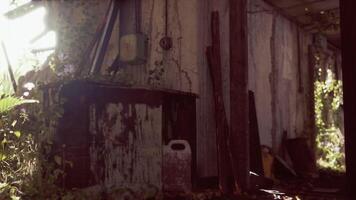 CGI An abandoned building overgrown with plants in the soft afternoon light video