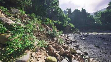 CGI Exploring the lush riverside landscape of Laos during midday sunlight video