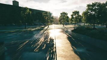 CGI Sunlight reflecting on a wet pavement surrounded by trees in the late afternoon video