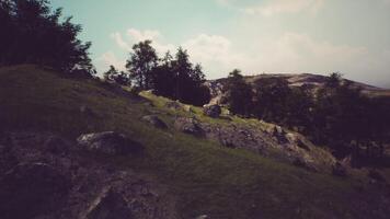 CGI Serene landscape with lush greenery and rocky outcrops under a clear sky video