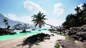 CGI Relaxing tropical beach in Tahiti with lush palms and clear turquoise water video