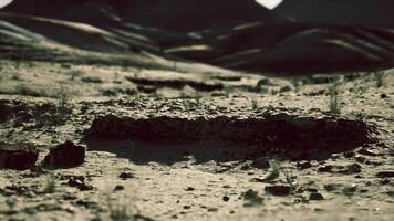 CGI Mongolian desert with rugged terrain and distant dusk mountains video