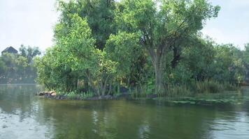 CGI A serene island with lush trees surrounded by calm waters in nature video