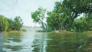 CGI Serene riverside landscape showcasing lush greenery and calm waters at dawn video