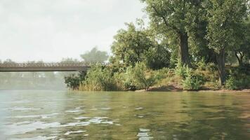 CGI Tranquil riverside view featuring a bridge and lush greenery in daylight video