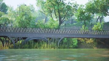 CGI Greenery surrounds a serene bridge over calm water in a tranquil park setting video