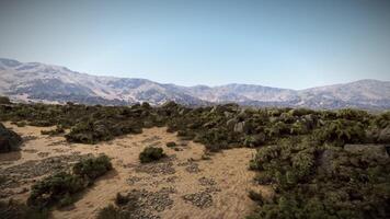 CGI Desert landscape with rocky mountains and sparse vegetation under clear sky video