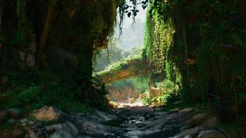 CGI Lush green landscape in a Chinese forest with sunlight filtering through trees video