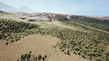 CGI Desert landscape with low bushes in mountainous terrain under clear sky video