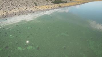 CGI Clear waters reflect sunlight near the riverbank at midday in nature video