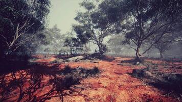 CGI A serene view of a red earth landscape with scattered trees under a cloudy sky video