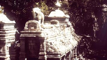 CGI Ancient stone temples with elephant sculptures in Cambodias jungle video