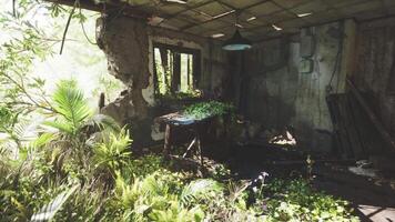 CGI Abandoned interior with overgrown plants in an old structure during daylight video
