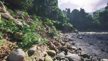 CGI Tranquil riverside landscape in Laos with lush vegetation and rocky shore video