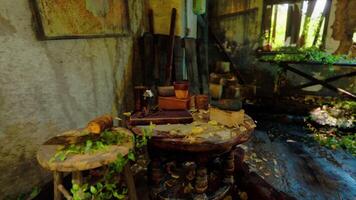 CGI Abandoned room filled with plants and furniture in a rustic environment video