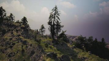 CGI A solitary tree stands on a rocky hillside under a cloudy sky at dusk video