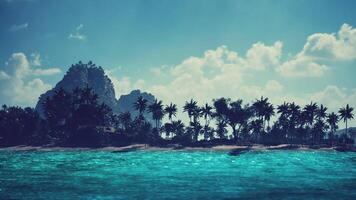 CGI Tranquil beach view in Seychelles with palm trees and vibrant blue water video