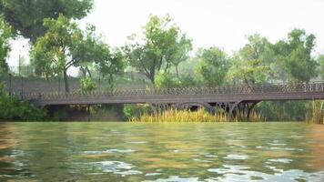 CGI Serene bridge crossing over calm waters surrounded by lush greenery video