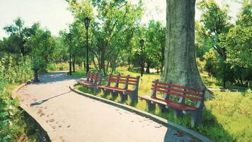 CGI A serene park pathway with red benches surrounded by lush greenery video