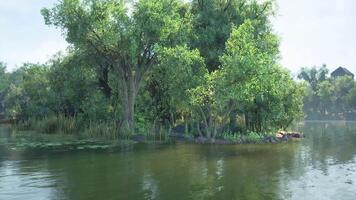 CGI Serene lakeside island surrounded by lush greenery on a sunny day video
