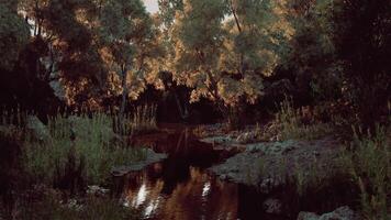 CGI Serene river reflecting autumn colors at dusk in a tranquil forest setting video