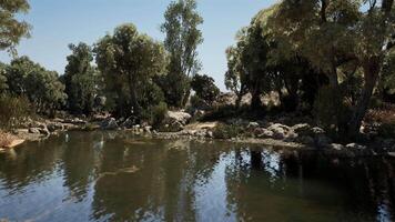 CGI Tranquil river reflection surrounded by lush greenery during a sunny day video