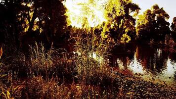 CGI Serene sunset at the tranquil riverside with lush greenery in autumn video