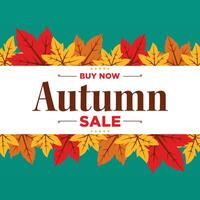 Minimalist Fall Sale Banner Template with Natural Leaf Frame vector