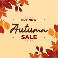 Modern Autumn Sale Background Template with Leaf Decorations vector