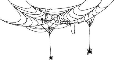 Spider webs simple hand drawn vector