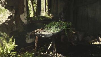 CGI Abandoned room with overgrown vegetation and a weathered table in sunlight video