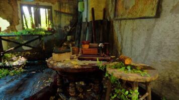 CGI An abandoned room filled with greenery and forgotten objects in daylight video