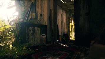 CGI Light filled, overgrown corridor in an abandoned building video