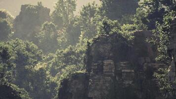 CGI Lush green mountains overgrown with vegetation in Cambodia serene landscape video