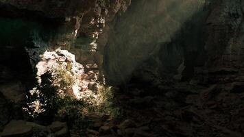 CGI Rays of sunlight illuminating a rocky cave with greenery in the morning video