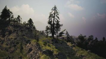 CGI Lone tree stands on rocky hilltop overlooking distant mountains at dusk video
