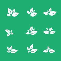 Eco leaf logo. Simple linear leaves of trees and plants. Elements for eco-friendly and biological logo, vegan. A collection of leaves vector