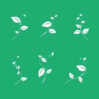 Eco leaf logo. Simple linear leaves of trees and plants. Elements for eco-friendly and biological logo, vegan. A collection of leaves with green background vector