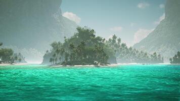 CGI Tropical island with lush greenery and clear turquoise waters in Maldives video
